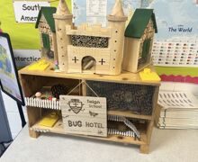 Teign bug hotel